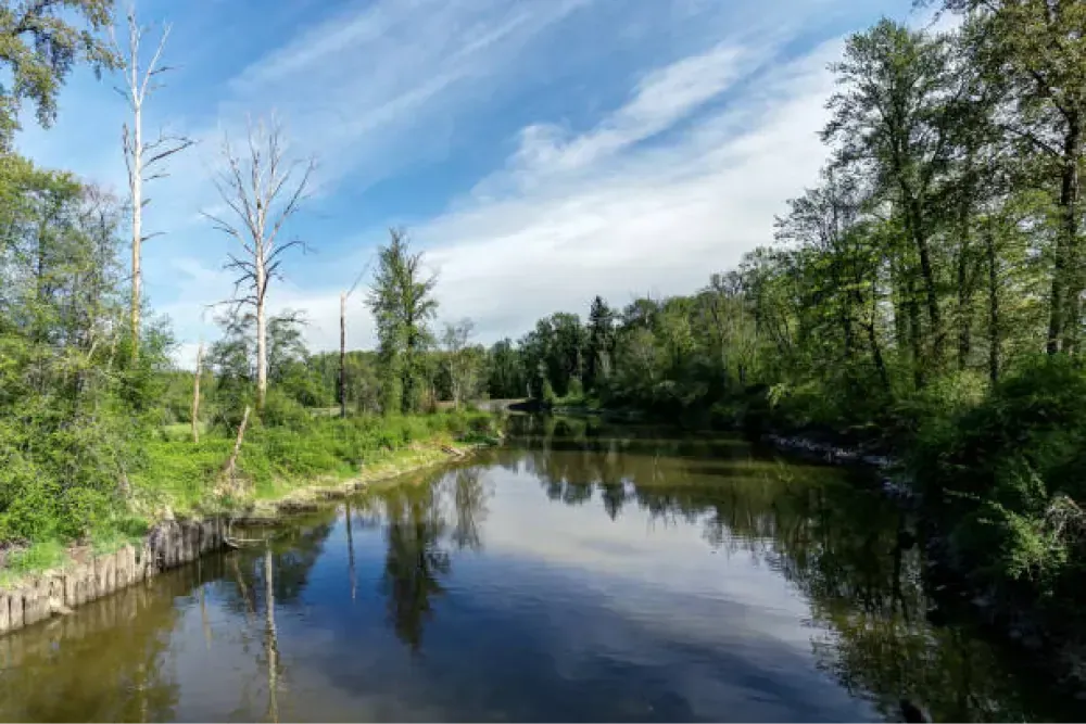 Environmental leadership